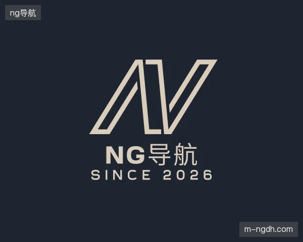 解读ng导航中国官网